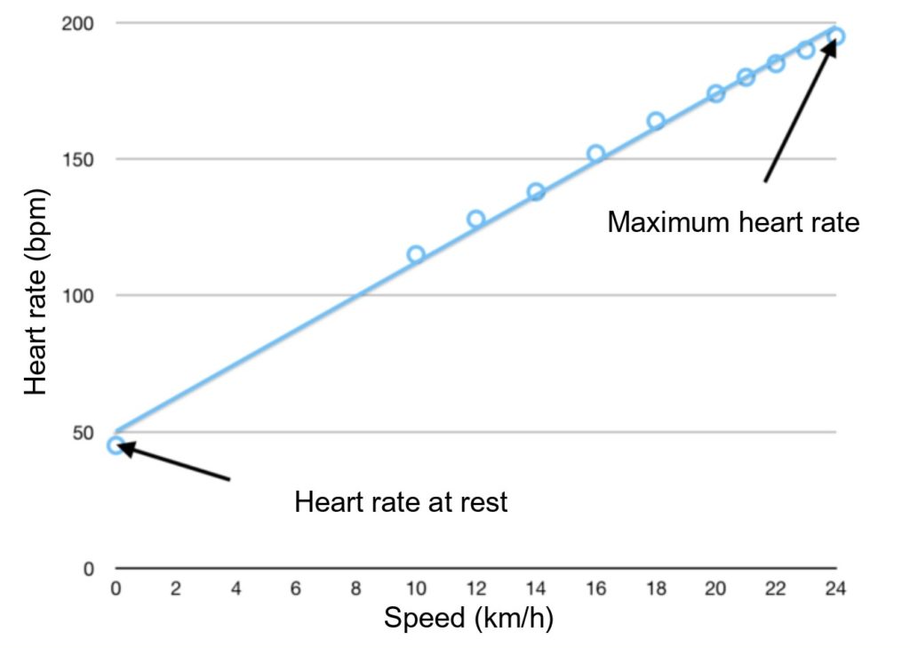 Verband tussen hartslag en loopsnelheid met behulp van de Karvonen-formule