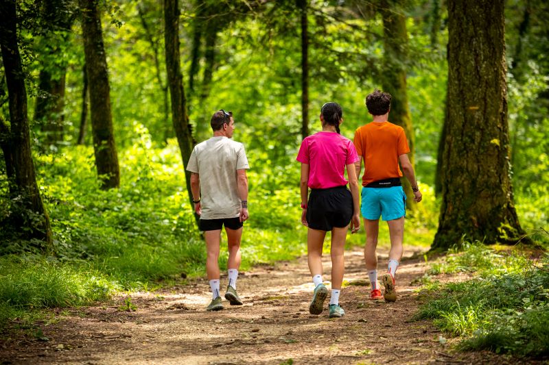 Thot - uw workspace 4 Actief herstel: wandelen of rennen?
