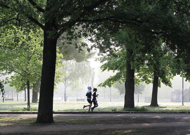 Hardloper traint met hooikoorts tijdens pollenseizoen en volgt tips om slim te hardlopen.