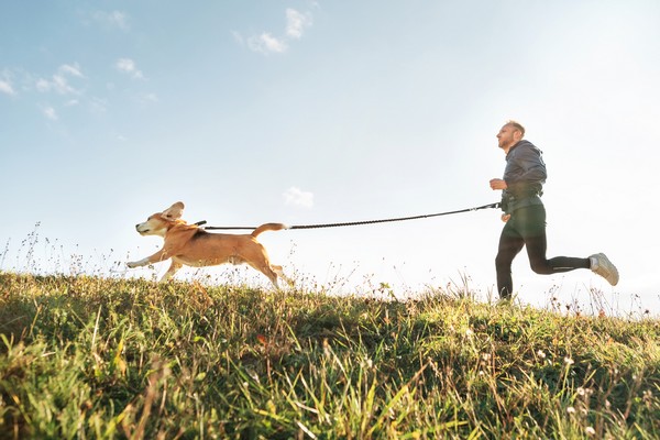 Canicross hardlopen met je hond op bospad, met trainingtips en focus op VO2max verbetering.