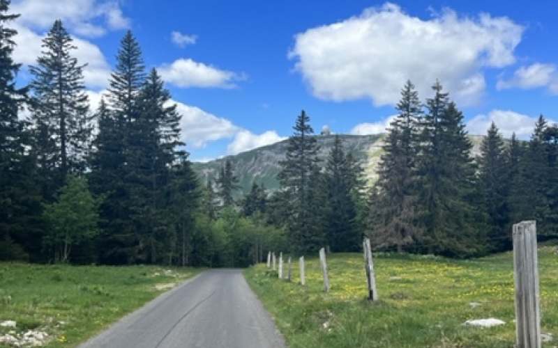 Wegwielrenner klimt naar La Barillette vanuit Nyon, Zwitserland, populaire route voor wielrennen.